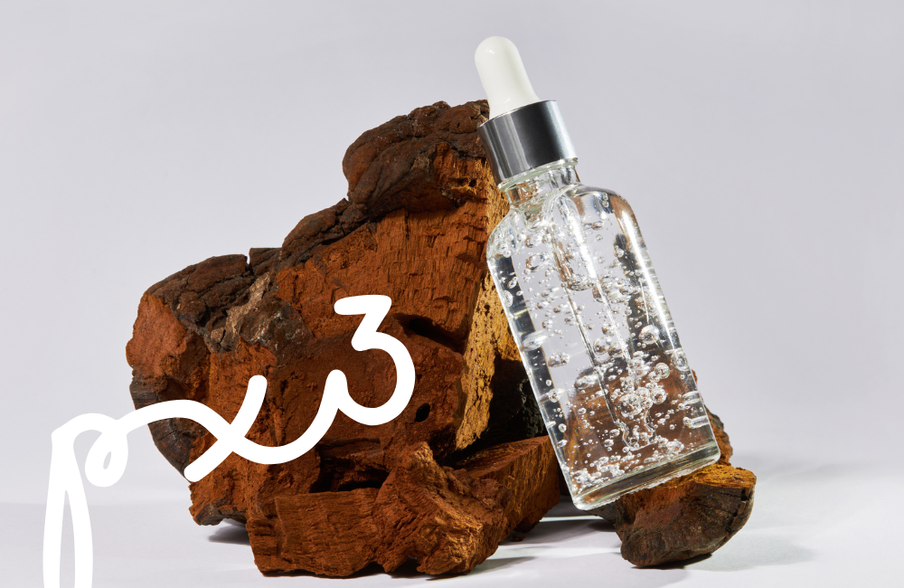 Vitalpilze und Kosmetik:  Slow Aging für jeden Tag